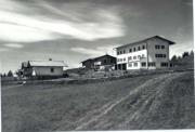 albergo (Positivo) di Foto Edizioni Ghedina (1950/01/01 - 1962/08/01)