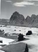 Motiv: Winter (Positivo) (1950/01/01 - 1969/12/31)