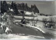 Wald/Bäume, Winter (Positivo) di Foto Edizioni Ghedina (1950/01/01 - 1969/12/31)