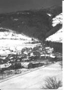 bosco (Positivo) di Foto Thaler, Sterzing (1950/01/01 - 1969/12/31)