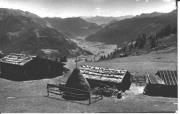 Alm Roßkopf (Sterzing) (Positivo) di Foto Edizioni Ghedina (1950/01/01 - 1969/12/31)