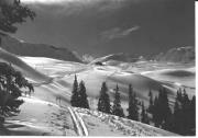 Wintersport, Skipisten Jaufenpaß (Positivo) di Foto Fränzl (1950/01/01 - 1969/12/31)