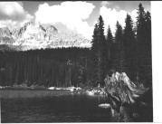 Nadelwald (Positivo) di Foto Sandro Saltuari, Bozen (1950/01/01 - 1969/12/31)