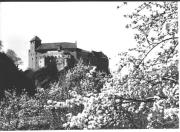 Motiv: Frühling (Positivo) di Foto Dr. Frass, Bozen (1950/01/01 - 1969/12/31)