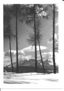 Motiv: Winter (Positivo) di Foto Gostner, Bozen (1950/01/01 - 1969/12/31)