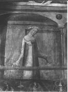 Gotik (Positivo) di Foto Dr. Frass, Bozen (1950/01/01 - 1969/12/31)