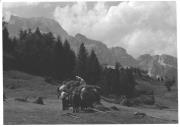 Transport: Heuwagen mit Pferd (Positivo) di Foto Hafner, Rosenheim (1950/01/01 - 1969/12/31)