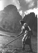 Arbeit: Viehhaltung (Positivo) di Foto Dr. Frass, Bozen (1950/01/01 - 1969/12/31)