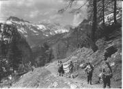 Wanderer/Ausflügler (Positivo) (1950/01/01 - 1969/12/31)