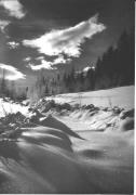 Motiv: Winter (Positivo) di Foto E. Frass, Bozen (1950/01/01 - 1969/12/31)