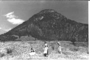 bambina (Positivo) (1950/01/01 - 1969/12/31)