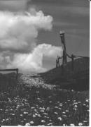 Kreuz/Bildstock/Kapelle (Positivo) di Foto Edizioni Ghedina (1950/01/01 - 1969/12/31)