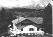 bosco (Positivo) di Foto WALSA, Bozen (1950/01/01 - 1969/12/31)