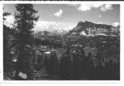 Lärche (Positivo) (1950/01/01 - 1969/12/31)
