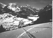 prato (Positivo) di Foto Edizioni Ghedina (1950/01/01 - 1969/12/31)