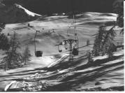 Motiv: Winter (Positivo) di Foto Dr. Frass, Bozen (1950/01/01 - 1979/12/31)