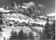 bosco (Positivo) di Foto Edizioni Ghedina (1950/01/01 - 1979/12/31)