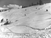 Skifahrer (Positivo) di Foto Edizioni Ghedina (1950/01/01 - 1969/12/31)