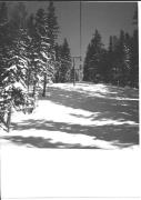 Motiv: Winter (Positivo) (1950/01/01 - 1969/12/31)