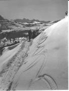 Skifahrer (Positivo) di Foto Dr. Frass, Bozen (1950/01/01 - 1969/12/31)