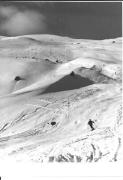 sport invernale (Positivo) di Foto Sandro Saltuari, Bozen (1950/01/01 - 1969/12/31)