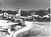 bosco (Positivo) di Foto Sandro Saltuari, Bozen (1950/01/01 - 1969/12/31)