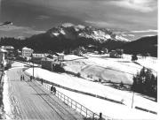 bosco (Positivo) di Foto Sandro Saltuari, Bozen (1950/01/01 - 1969/12/31)