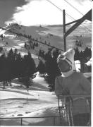 donna (Positivo) di Foto Dr. Frass, Bozen (1950/01/01 - 1969/12/31)