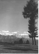 Panorama (Positivo) di Foto Dr. Frass, Bozen (1950/01/01 - 1969/12/31)
