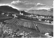vitigno (Positivo) di Foto Dr. Frass, Bozen (1950/01/01 - 1979/12/31)