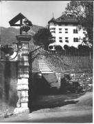 Weinberge in/bei Kaltern-See & Umgebung (Positivo) di Foto Sandro Saltuari, Bozen (1950/01/01 - 1969/12/31)