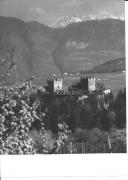 Motiv: Frühling (Positivo) di Foto Dr. Frass, Bozen (1950/01/01 - 1969/12/31)