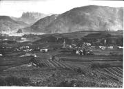 vitigno (Positivo) di Foto Dr. Frass, Bozen (1950/01/01 - 1979/12/31)