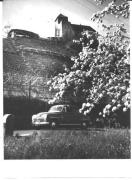 Motiv: Frühling (Positivo) di Foto Dr. Frass, Bozen (1950/01/01 - 1969/12/31)