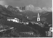vitigno (Positivo) di Foto Dr. Frass, Bozen (1950/01/01 - 1969/12/31)