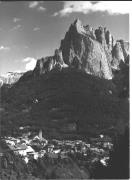 Nadelwald (Positivo) di Foto Sandro Saltuari, Bozen (1950/01/01 - 1969/12/31)