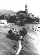 bosco (Positivo) di Foto Ciganovic-Anthony (1950/01/01 - 1969/12/31)
