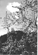 Motiv: Frühling (Positivo) di Foto Sandro Saltuari, Bozen (1950/01/01 - 1969/12/31)