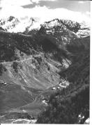 bosco (Positivo) di Foto Sandro Saltuari, Bozen (1950/01/01 - 1979/12/31)