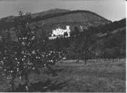 frutteto (Positivo) di Foto Sandro Saltuari, Bozen (1950/01/01 - 1979/12/31)