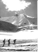 Schneefelder (Positivo) di Foto Löbl, Bad Tölz/Oberbayern (1950/01/01 - 1969/12/31)