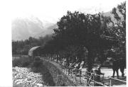 Passerpromenade Meran (Positivo) di Foto Sandro Saltuari, Bozen (1950/01/01 - 1969/12/31)