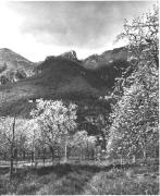 Schloß Helfenberg (Terlan) (Positivo) di Foto Fuchs-Hauffen, Überlingen (1950/01/01 - 1969/12/31)