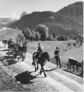 Bauer(in) / Landarbeiter(in) (Positivo) di Foto Fuchs-Hauffen, Überlingen (1950/01/01 - 1969/12/31)