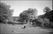 Castelfeder (Positivo) di Atzwanger, Hugo (1942/04/15 - 1935/11/03)