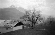 paesaggio (Positivo) di Atzwanger, Hugo (1930/04/27 - 1930/04/27)