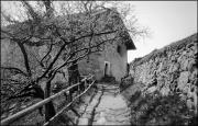 Zaun (Positivo) di Atzwanger, Hugo (1930/04/27 - 1930/04/27)