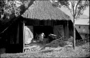 Strohdach (Positivo) di Atzwanger, Hugo (1937/10/13 - 1937/10/13)
