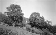 Kirche (Positivo) di Atzwanger, Hugo (1929/09/27 - 1929/09/27)