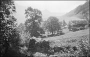 Steinmauer (Positivo) di Atzwanger, Hugo (1929/08/25 - 1929/08/25)